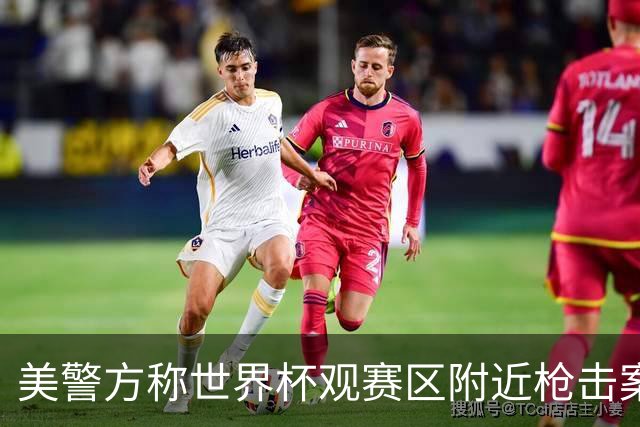 美警方称世界杯观赛区附近枪击案系孤立事件